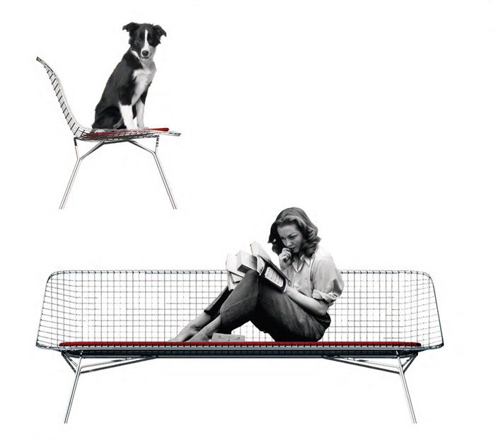 Mad Bench