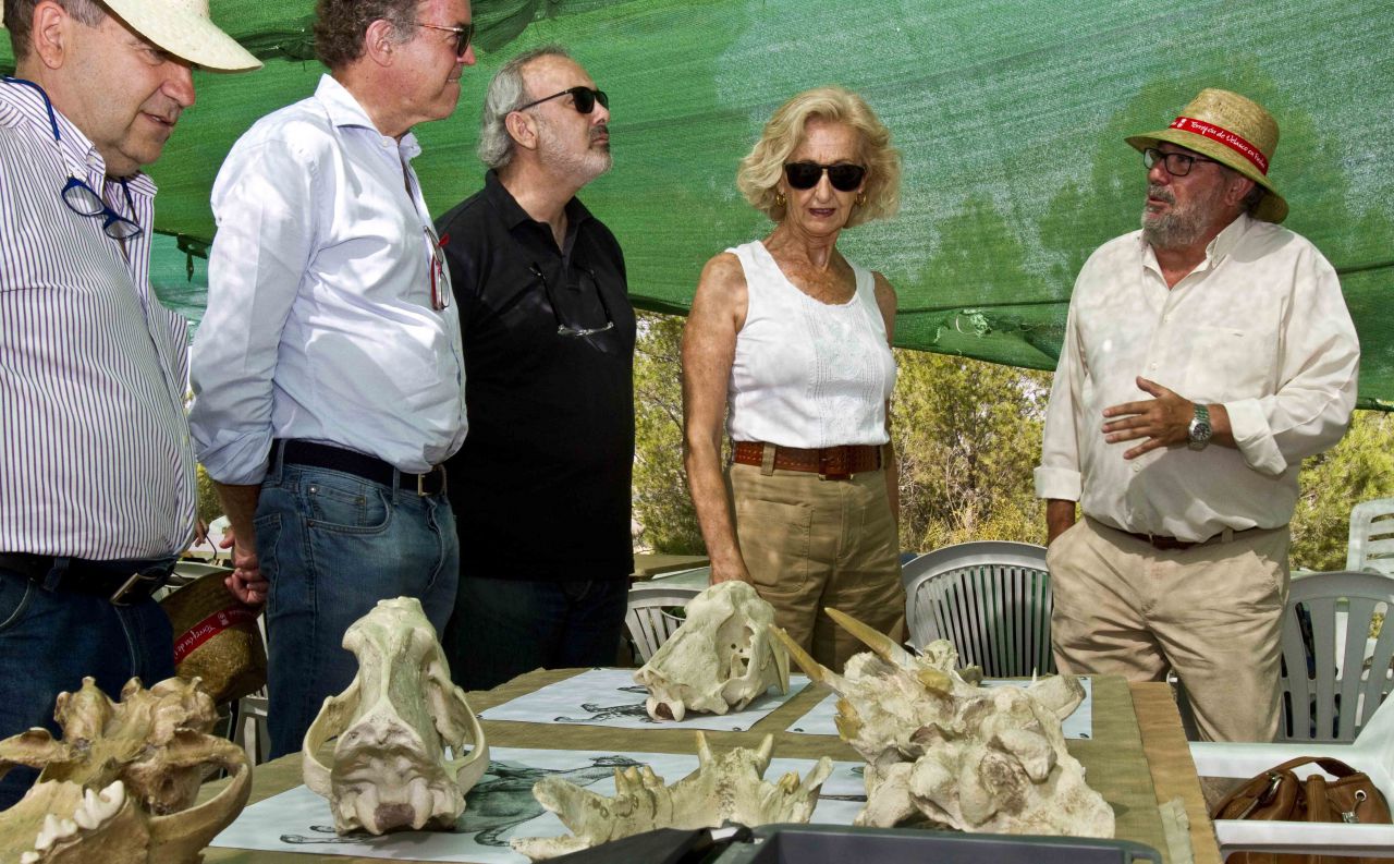 Paloma Sobrini, directora general de Patrimonio Cultural, contempla algunos de los restos extraídos 