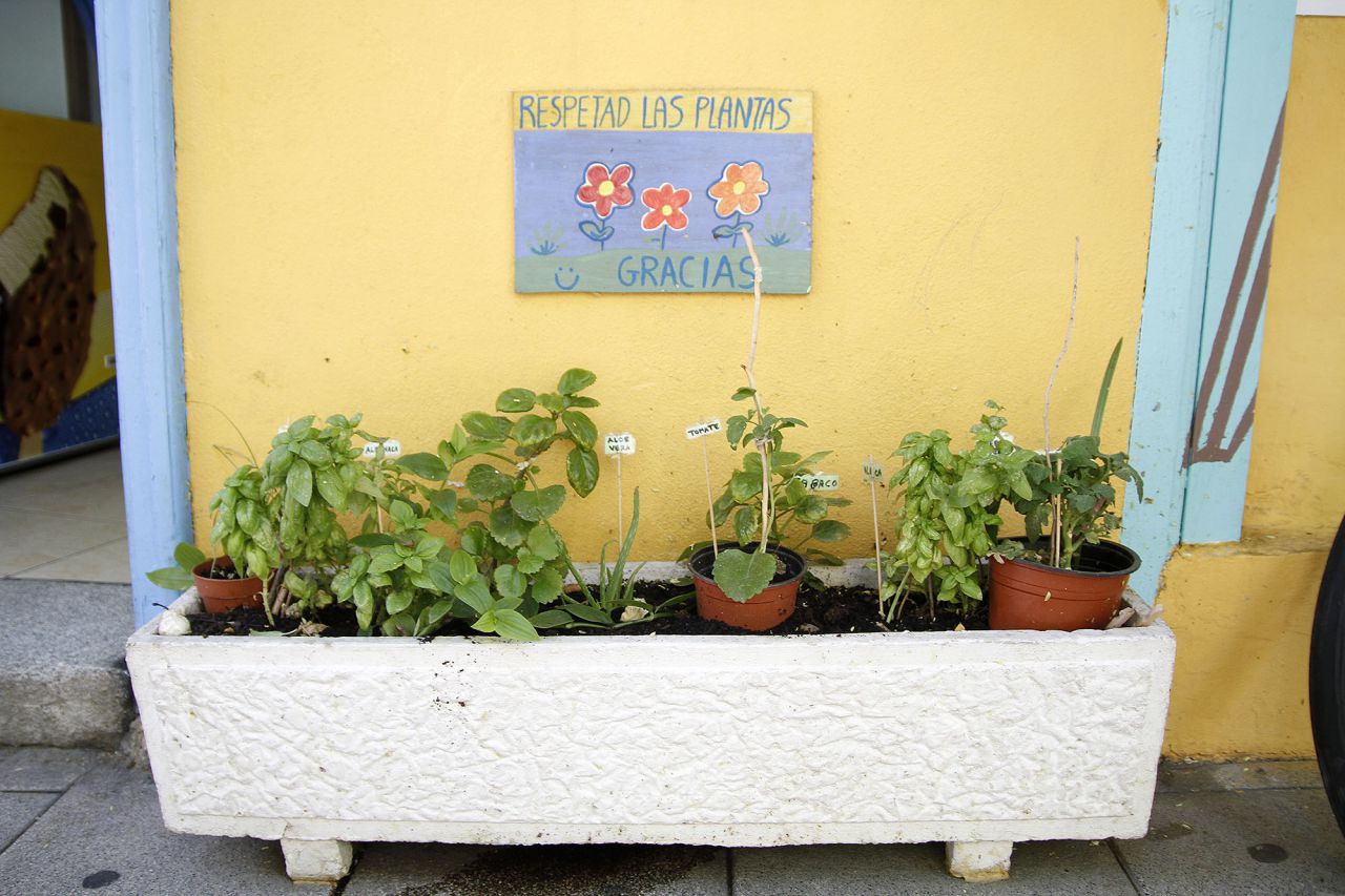 Jardinera de una vecina de Lavapiés