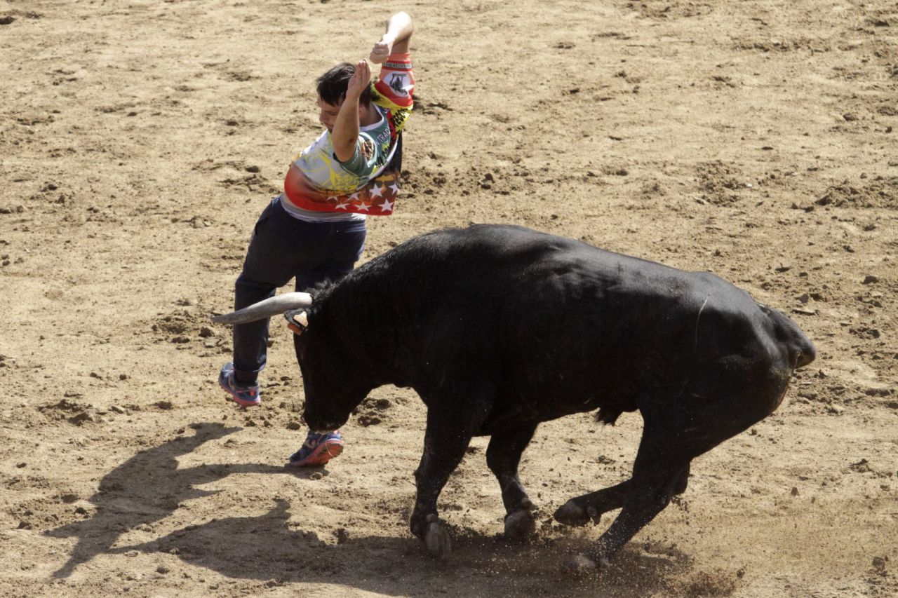 Suelta de vaquillas y toros en las fiestas patronales de San Sebastián de los Reyes.