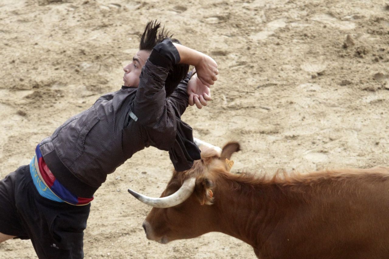 Suelta de vaquillas y toros en las fiestas patronales de San Sebastián de los Reyes.