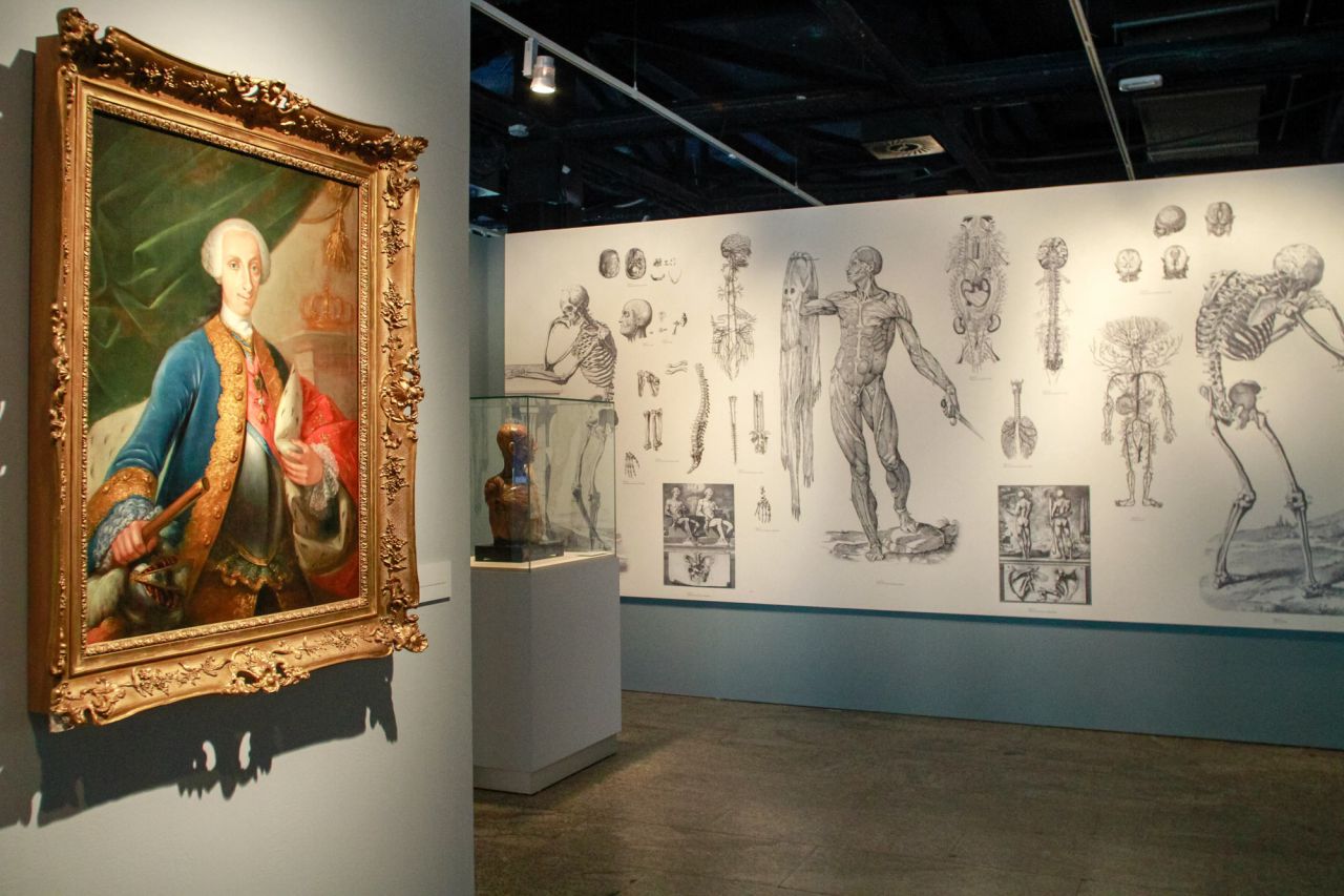 Un retrato anónimo del rey Carlos III preside la primera sala para dar a entender la influencia borbónica en la creación de los diferentes colegios reales que luego se convertirían en las facultades actuales.