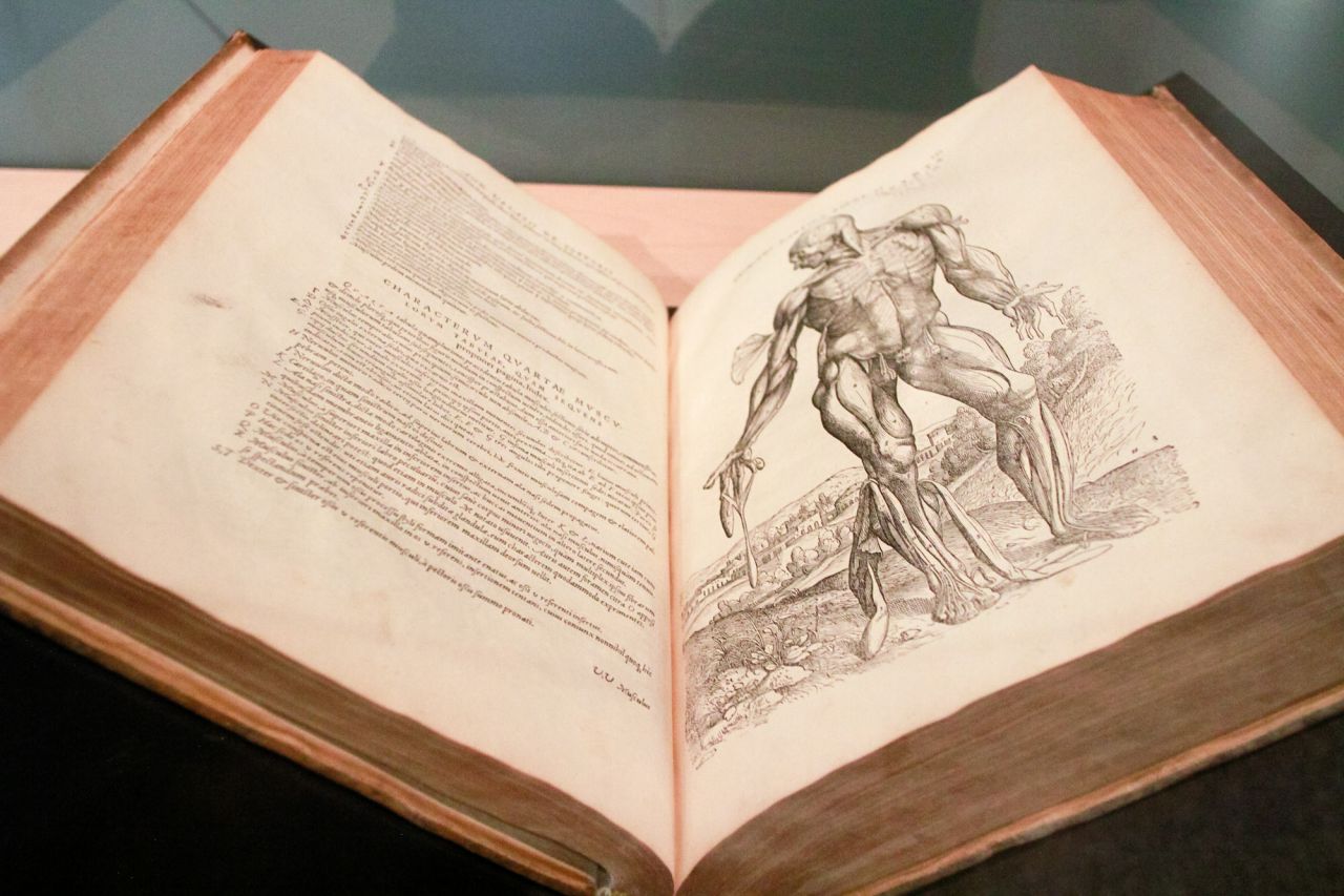 Cada una de las salas de la exposición contienen de forma presidencial un libro de los fondos de la Universidad en el que se basan los ceristas para realizar las esculturas.