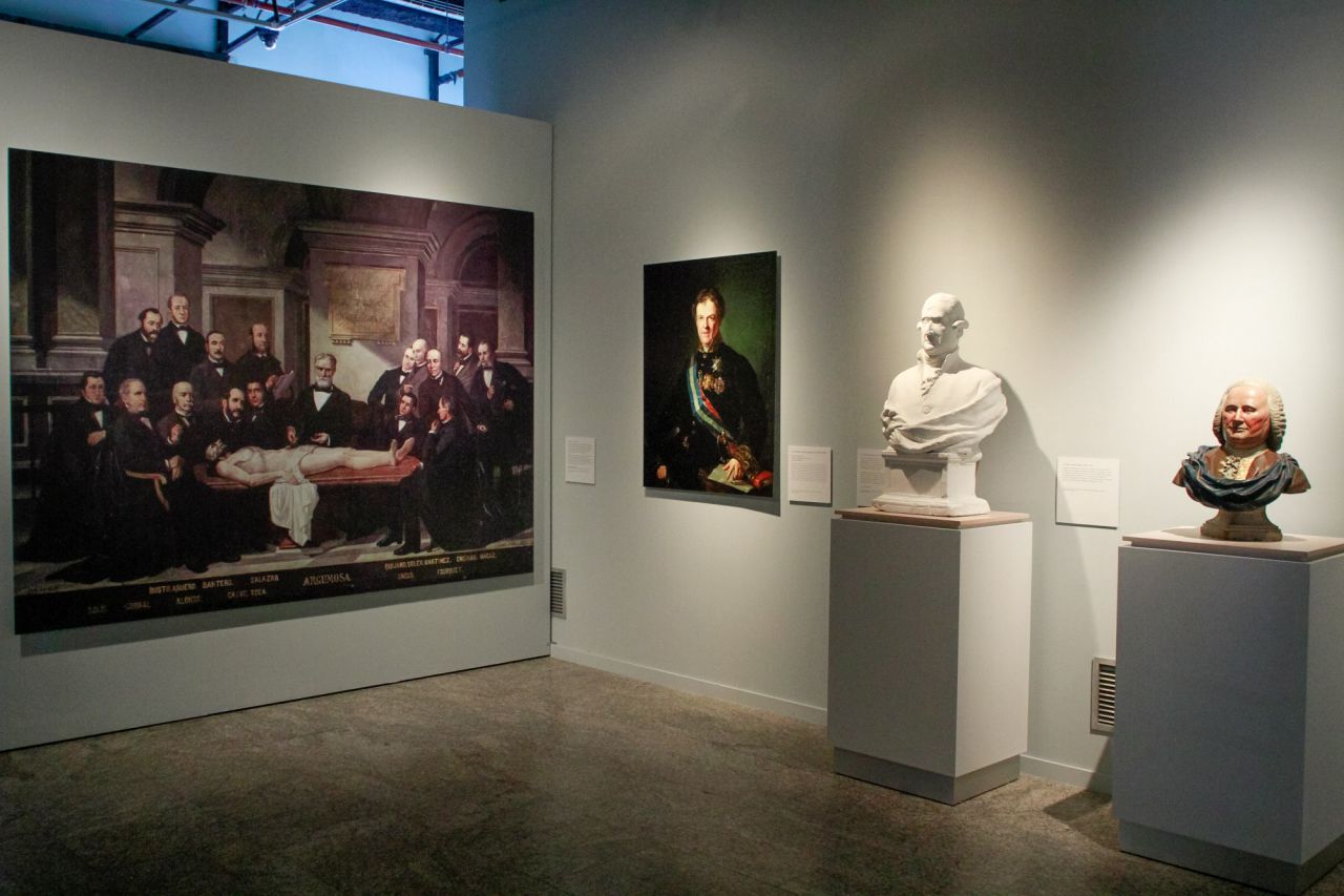 Diferentes bustos de los principales cirujanos y anatomistas del s.XVIII.