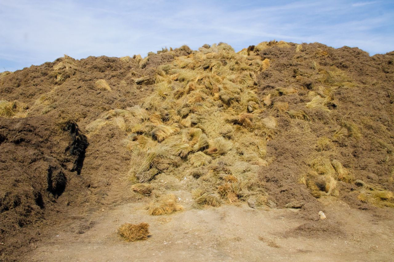 Restos de manojos de lavanda tras ser destilados. Se pueden observar las dos formas de recolectar la planta.