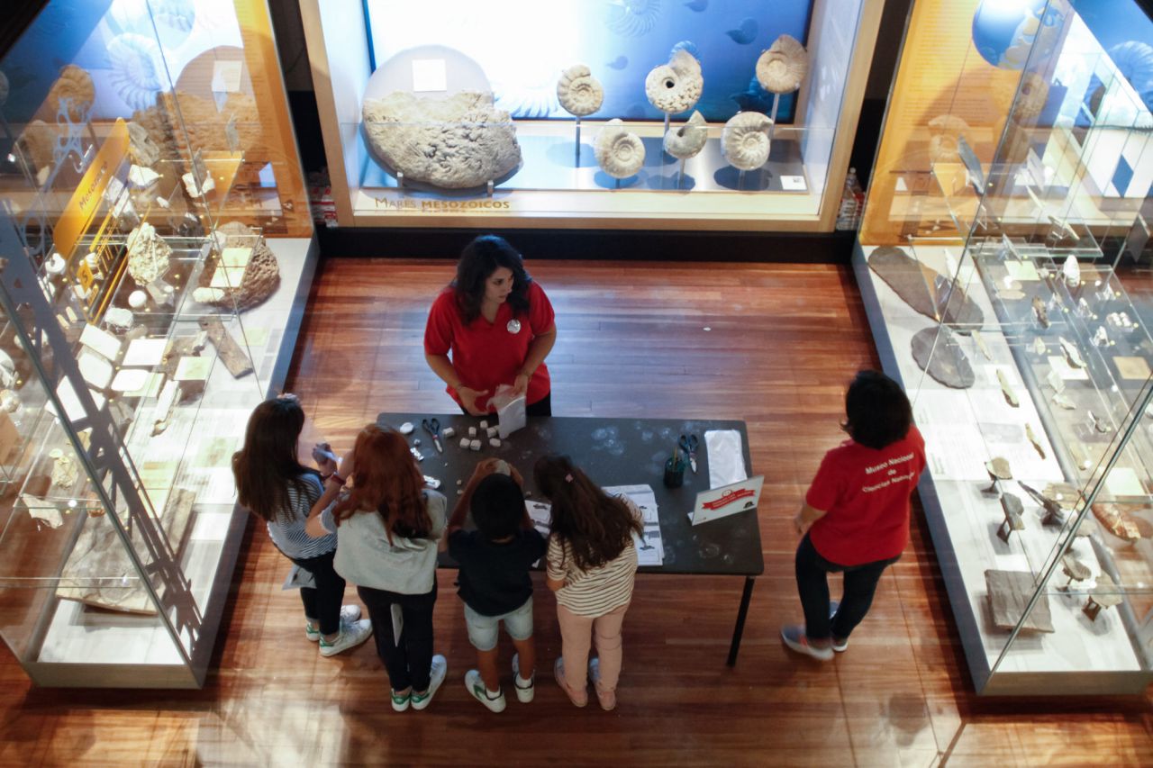 El Museo de Nacional de Ciencias Naturales se ha convertido por una tarde en una gran yincana científica en la que los participantes han podido acercarse al mundo de la paleontología, la zoología y la ecología a través de divertidísimos juegos.