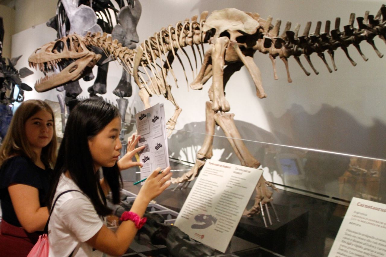 El Museo de Nacional de Ciencias Naturales se ha convertido por una tarde en una gran yincana científica en la que los participantes han podido acercarse al mundo de la paleontología, la zoología y la ecología a través de divertidísimos juegos.