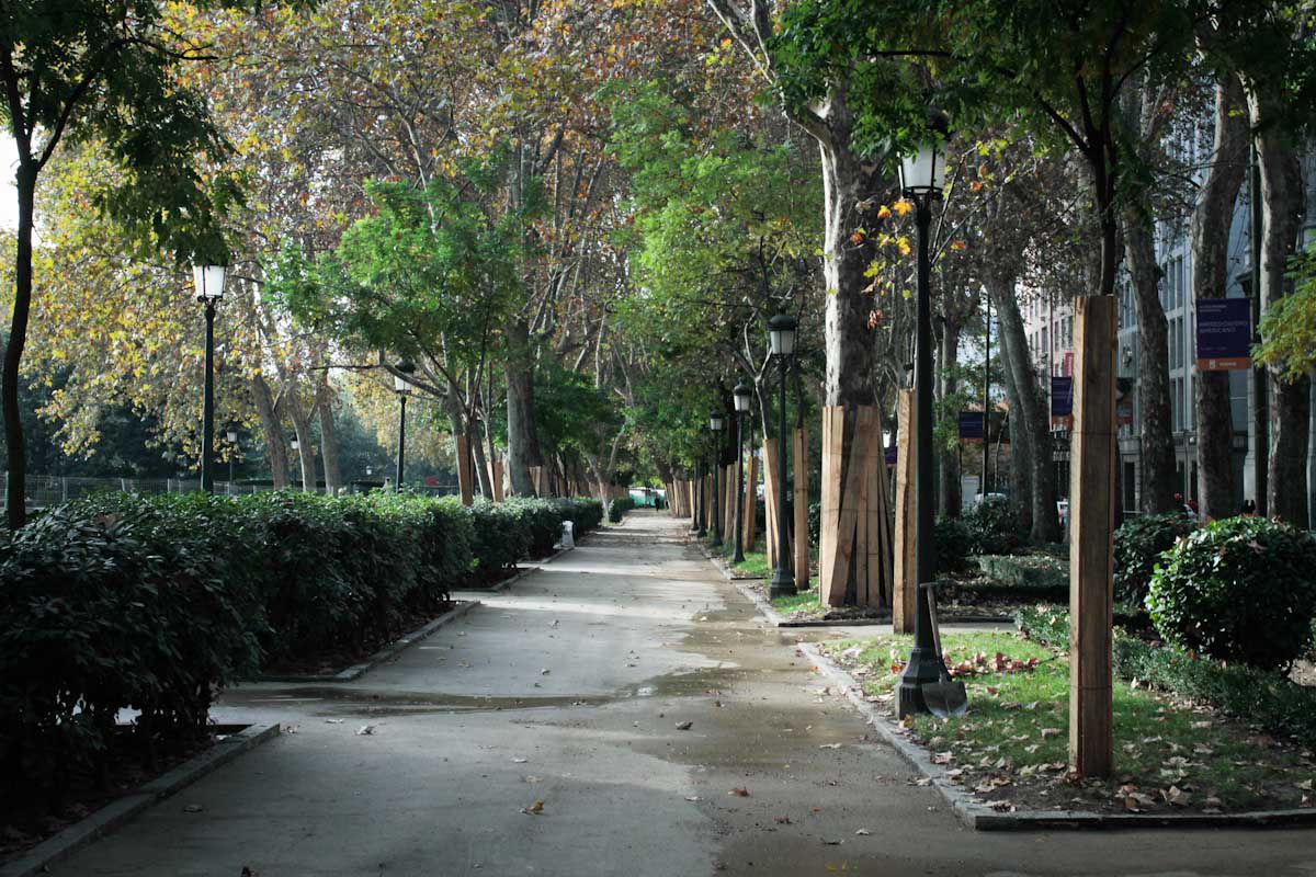 Remodelación del eje Prado-Recoletos (38,85 millones).