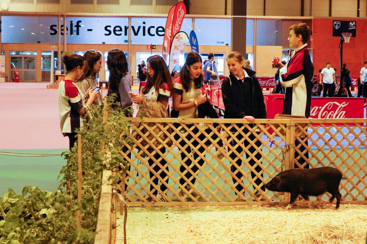 Juvenalia 2016, la feria de ocio infantil y juvenil que estará en Ifema hasta el 11 de diciembre con más de 250 actividades.