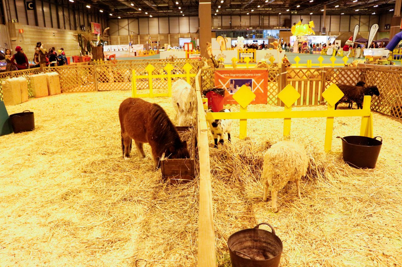 Juvenalia 2016, la feria de ocio infantil y juvenil que estará en Ifema hasta el 11 de diciembre con más de 250 actividades.