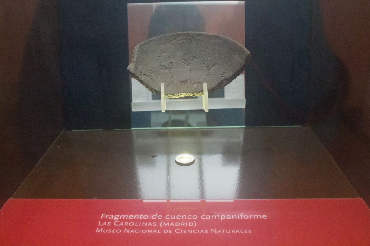 Sobre este fragmento de vaso está tallado el sol de Las Carolinas, el emblema del museo.