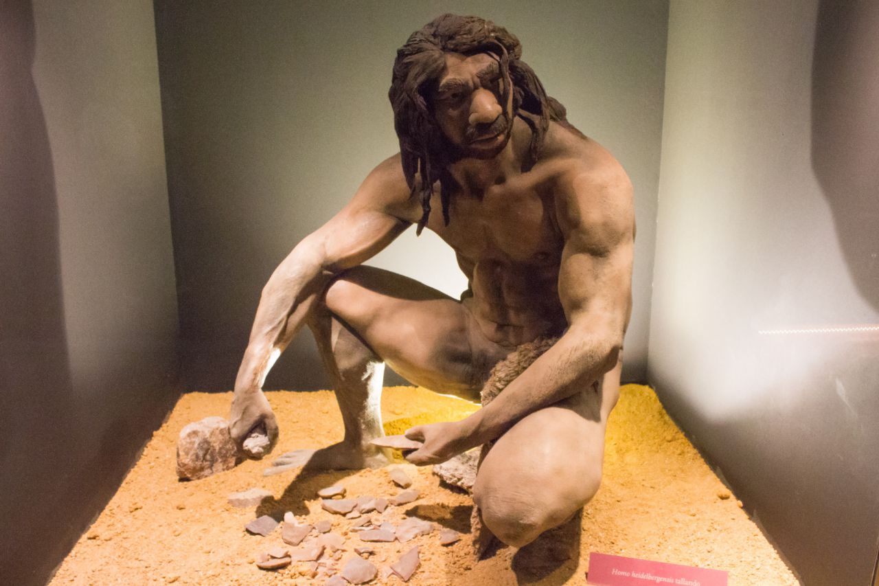 El museo rechaza el primitivismo que aleja al ser humano actual de sus antepasados homínidos.