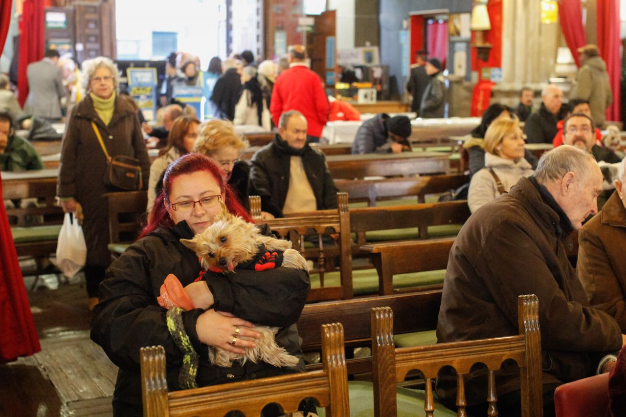 Mascotas y sus dueños dentro de la iglesia de San Antón.