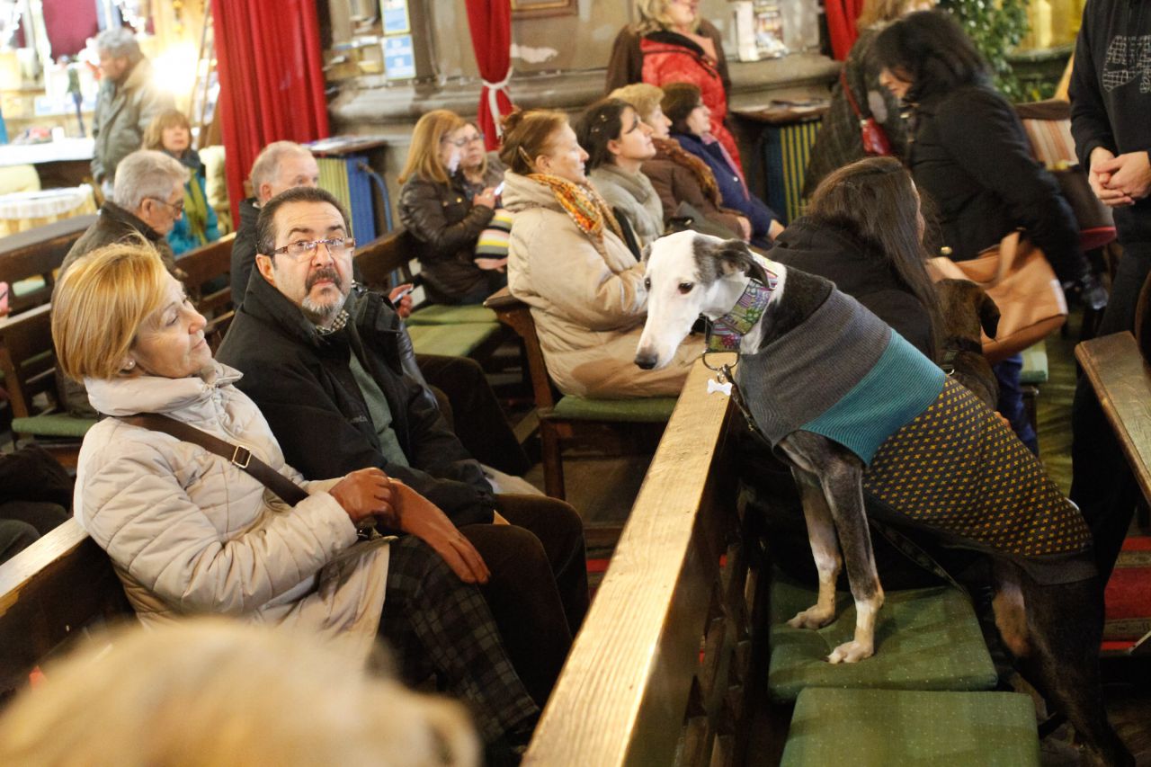 Mascotas y sus dueños dentro de la iglesia de San Antón.