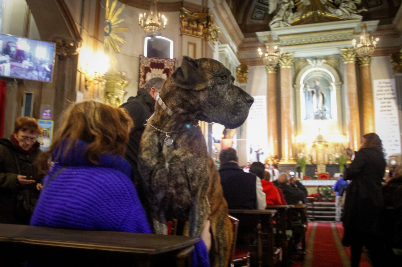 Mascotas y sus dueños dentro de la iglesia de San Antón.