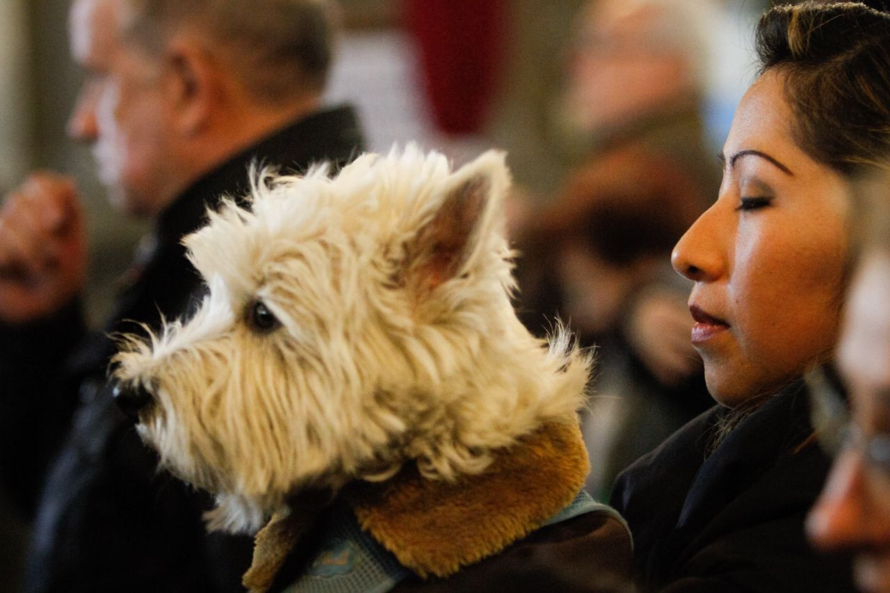 Mascotas y sus dueños dentro de la iglesia de San Antón.