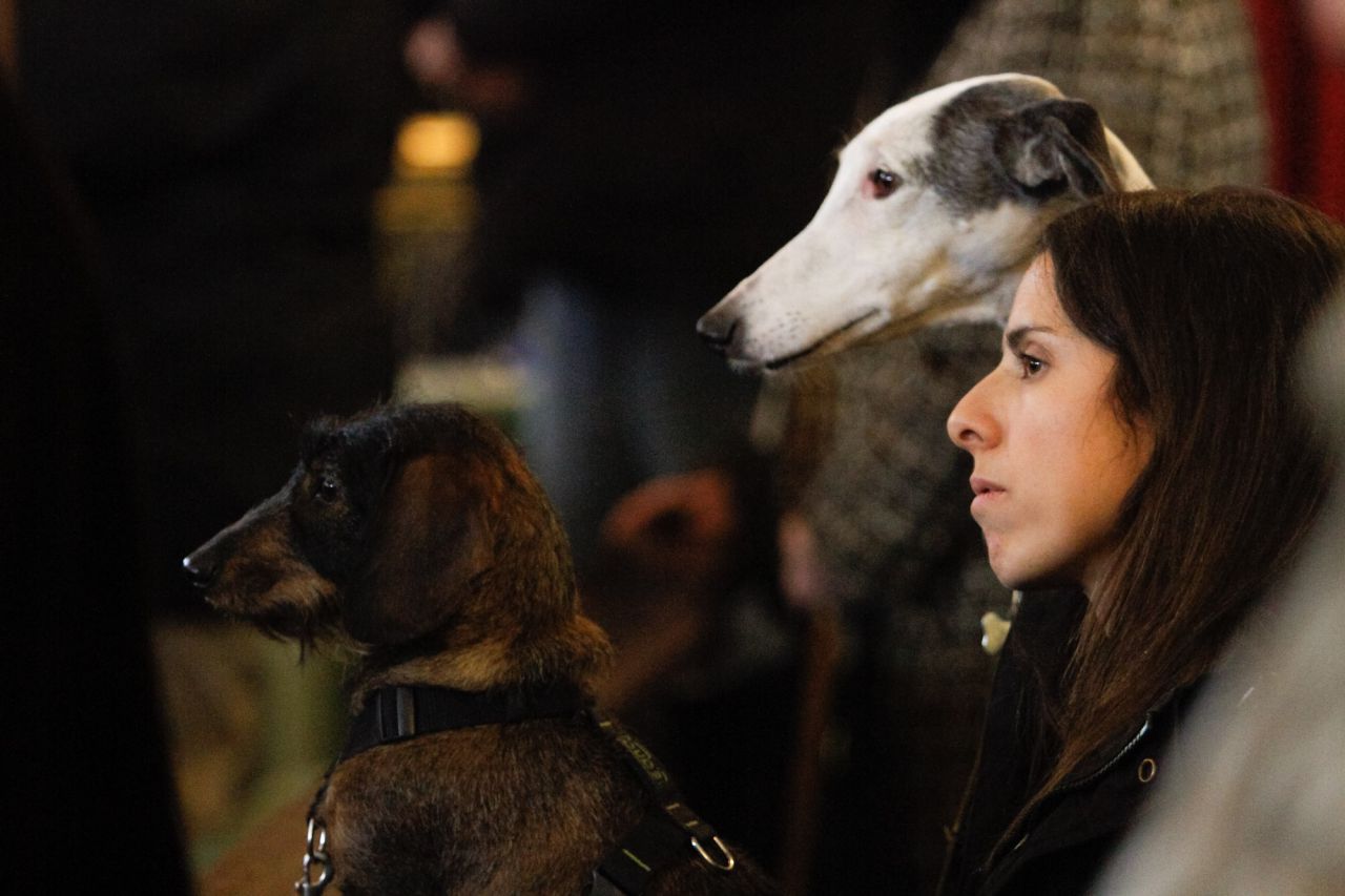 Mascotas y sus dueños dentro de la iglesia de San Antón.