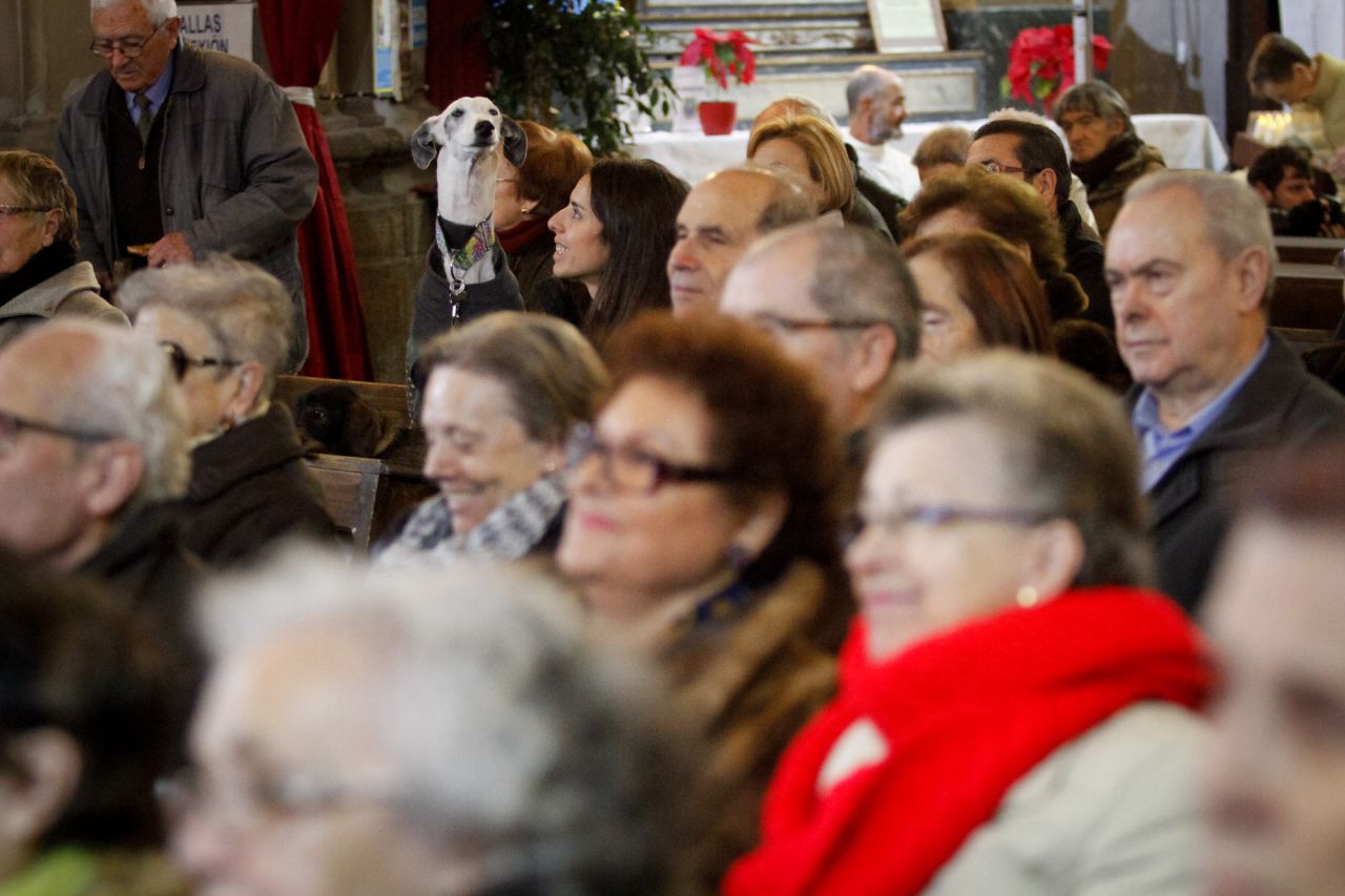 Mascotas y sus dueños dentro de la iglesia de San Antón.