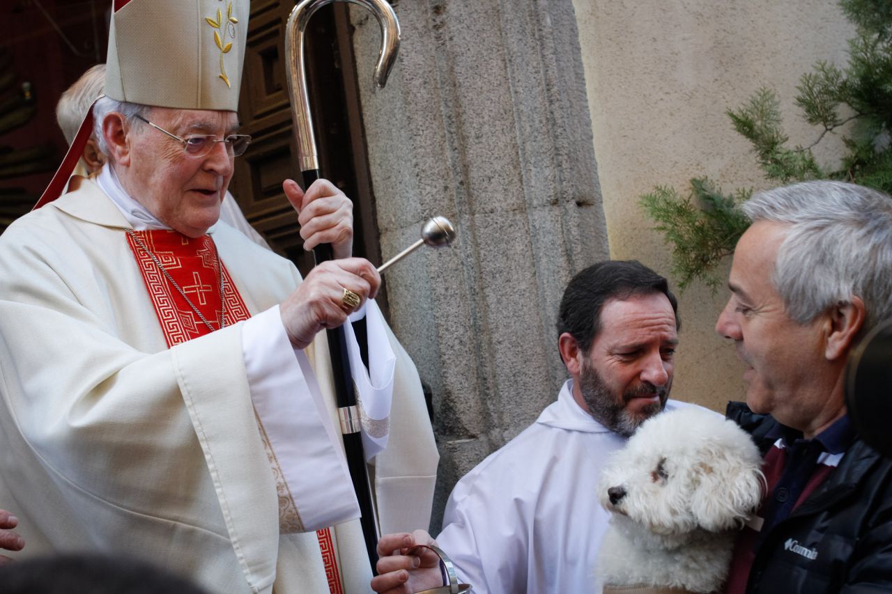 El cardenal Carlos Amigo bendice a una mascota.