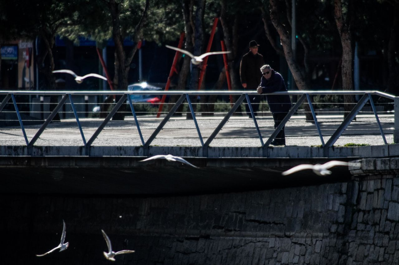 Cada vez más gente se asoma al río para observar el espectáculo de las aves.