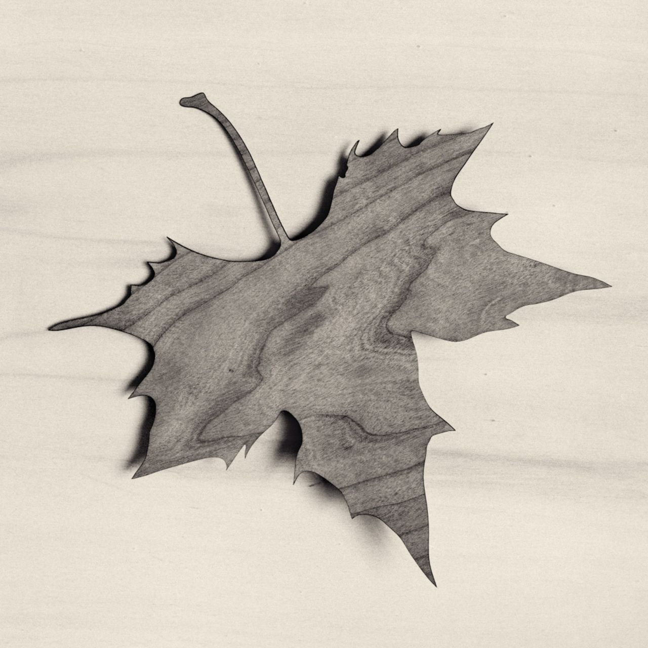 Fotografía de la expocisión obra de Chema Madoz.
