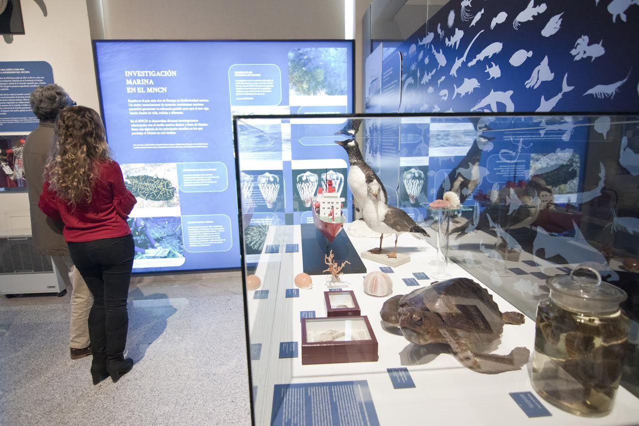 La exposición puede visitarse hasta el mes de noviembre.