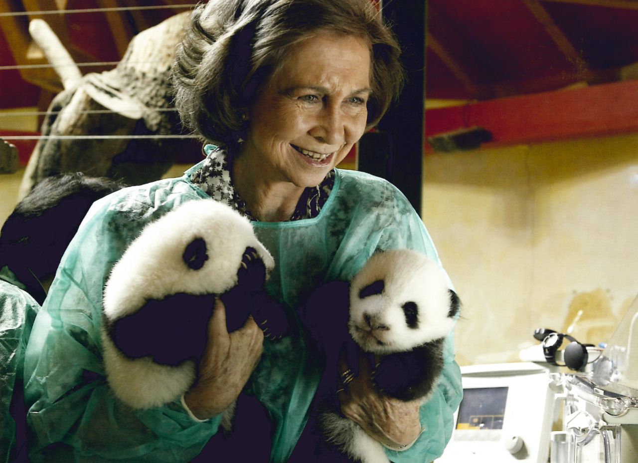 Doña Sofía ha participado en varios actos en el Zoo de Madrid para preservar la especia asiática. 