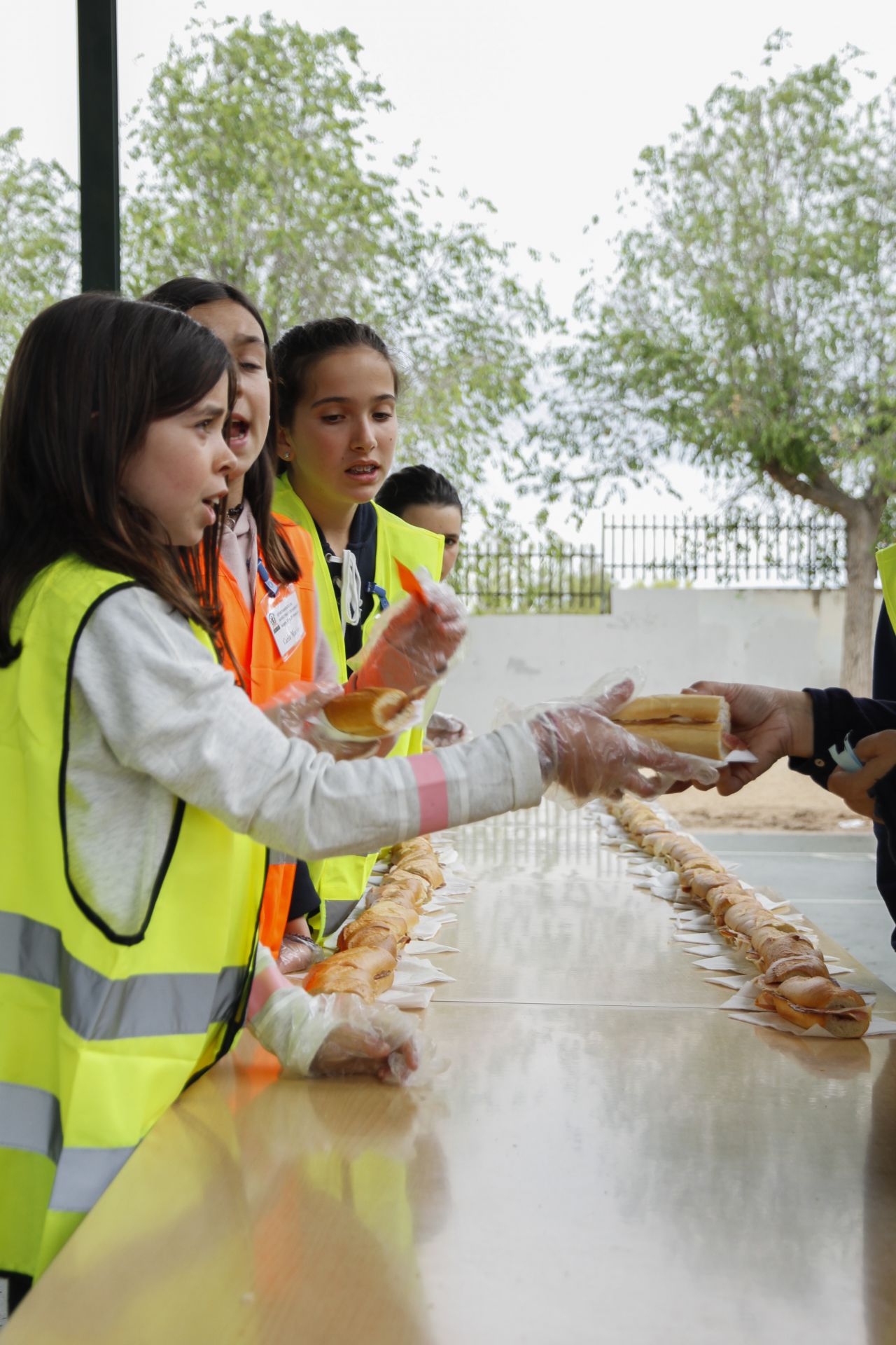 Los propios alumnos se han encargado de todo el trabajo.