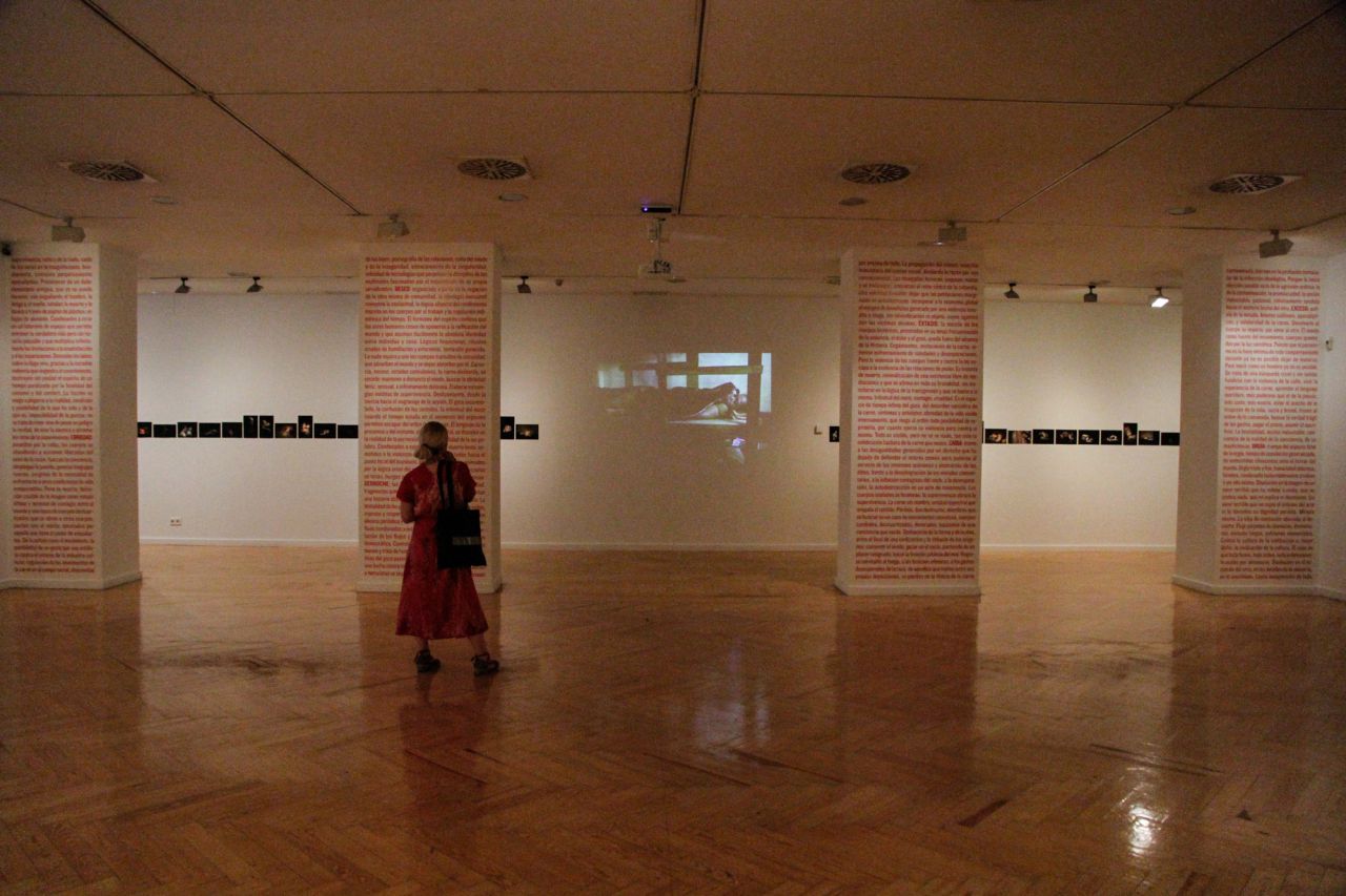 La exposición 'Corpus' expuesta en la Sala Picasso del Círculo de Bellas Artes