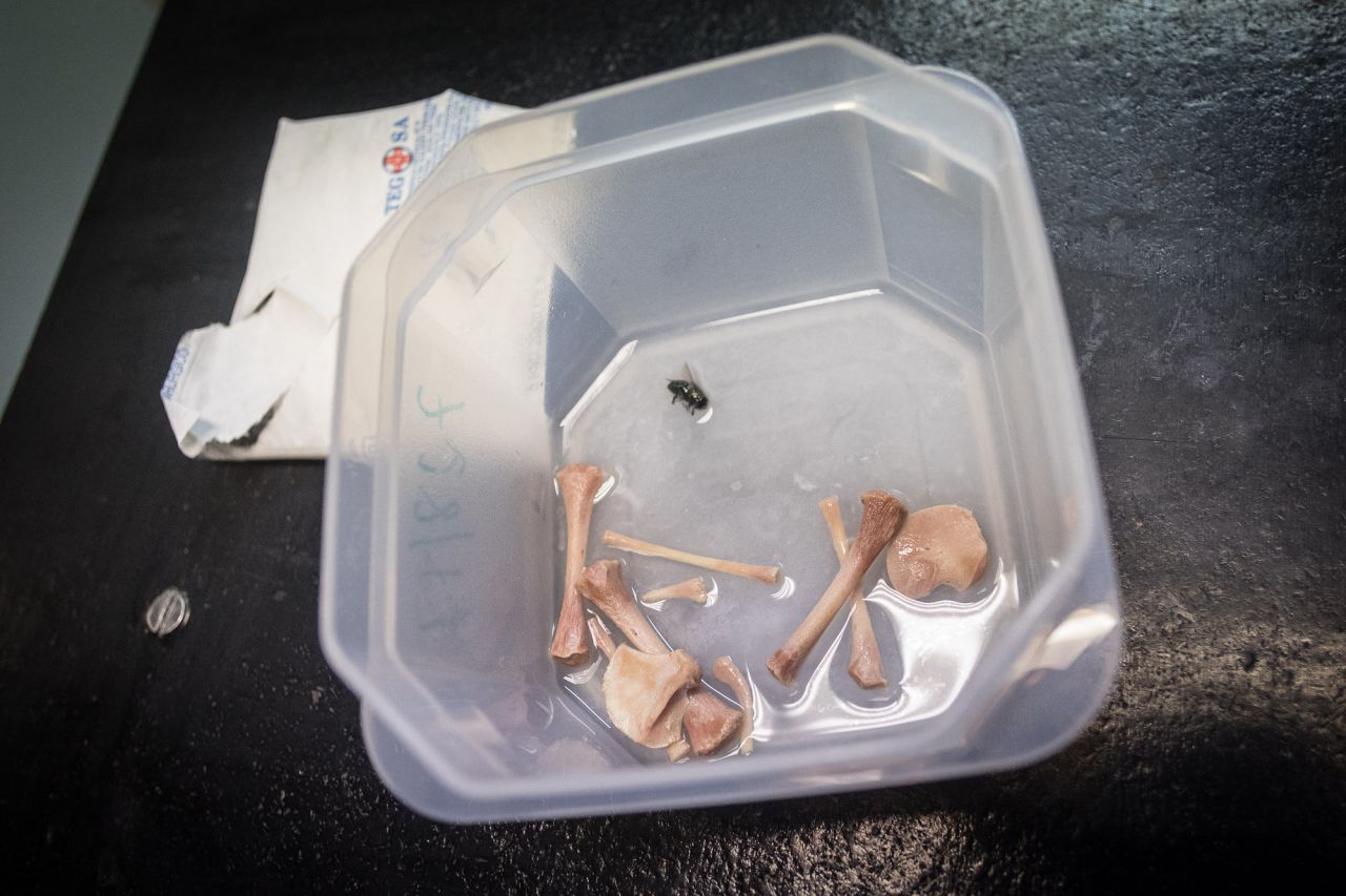 Muestras a analizar en el departamento de antropología forense.