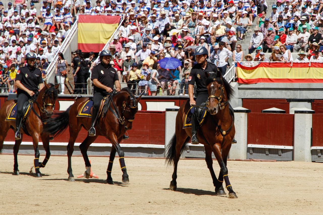 Caballos de la Policía Nacional.