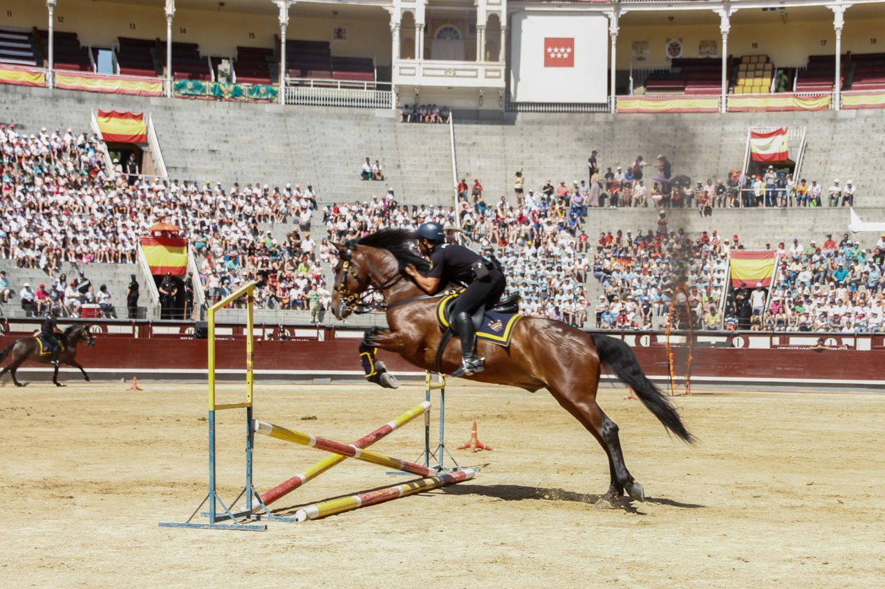 Caballos de la Policía Nacional.