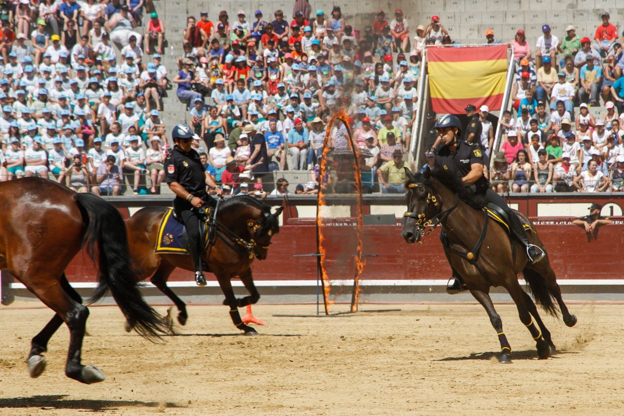 Caballos de la Policía Nacional.