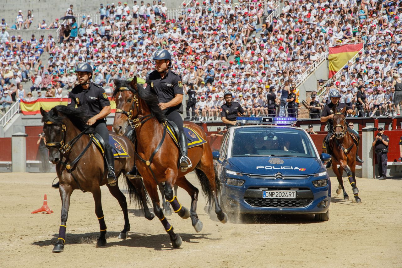 Caballos de la Policía Nacional.