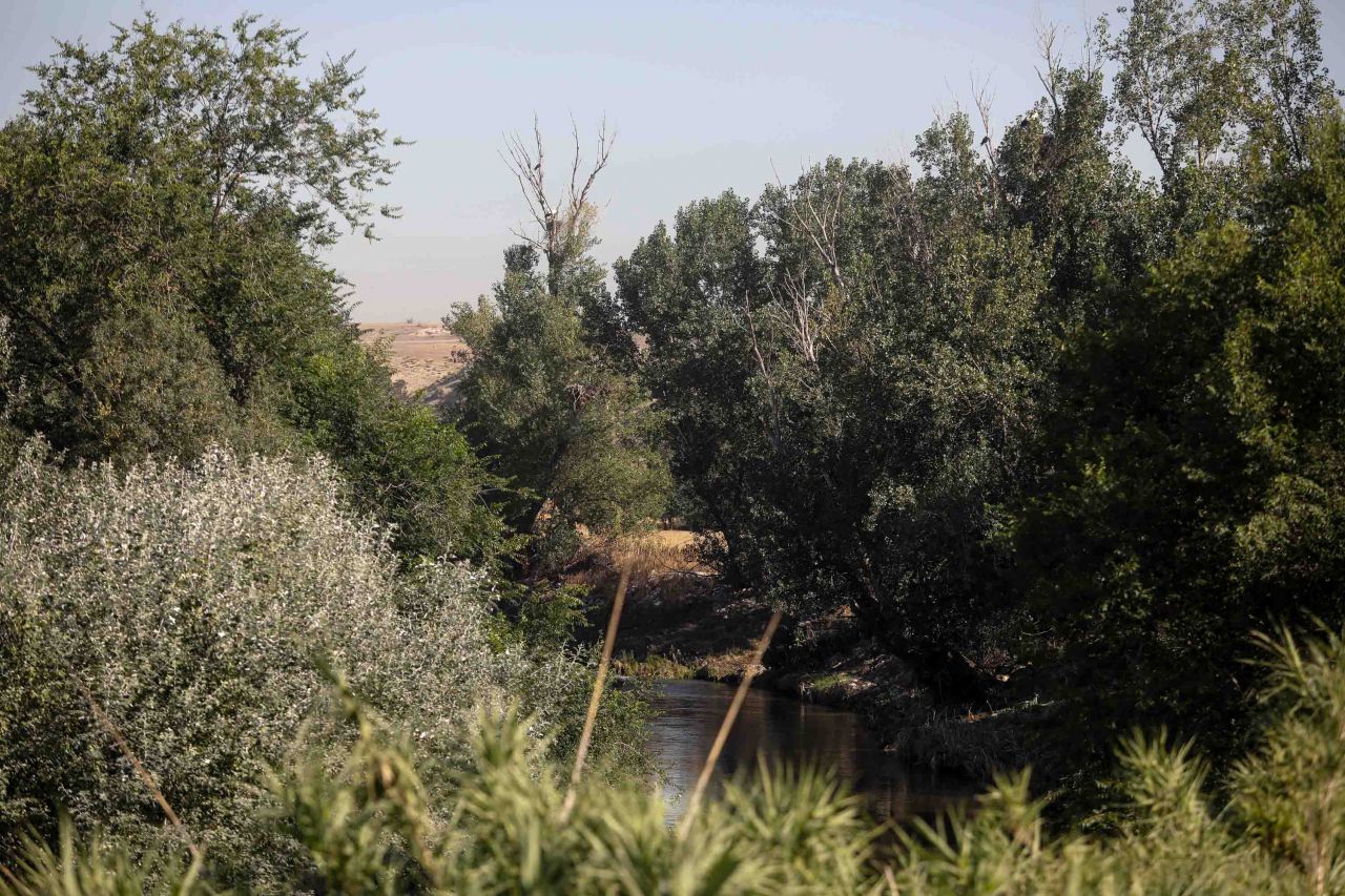 Río Manzanares a su paso por Perales del Río.