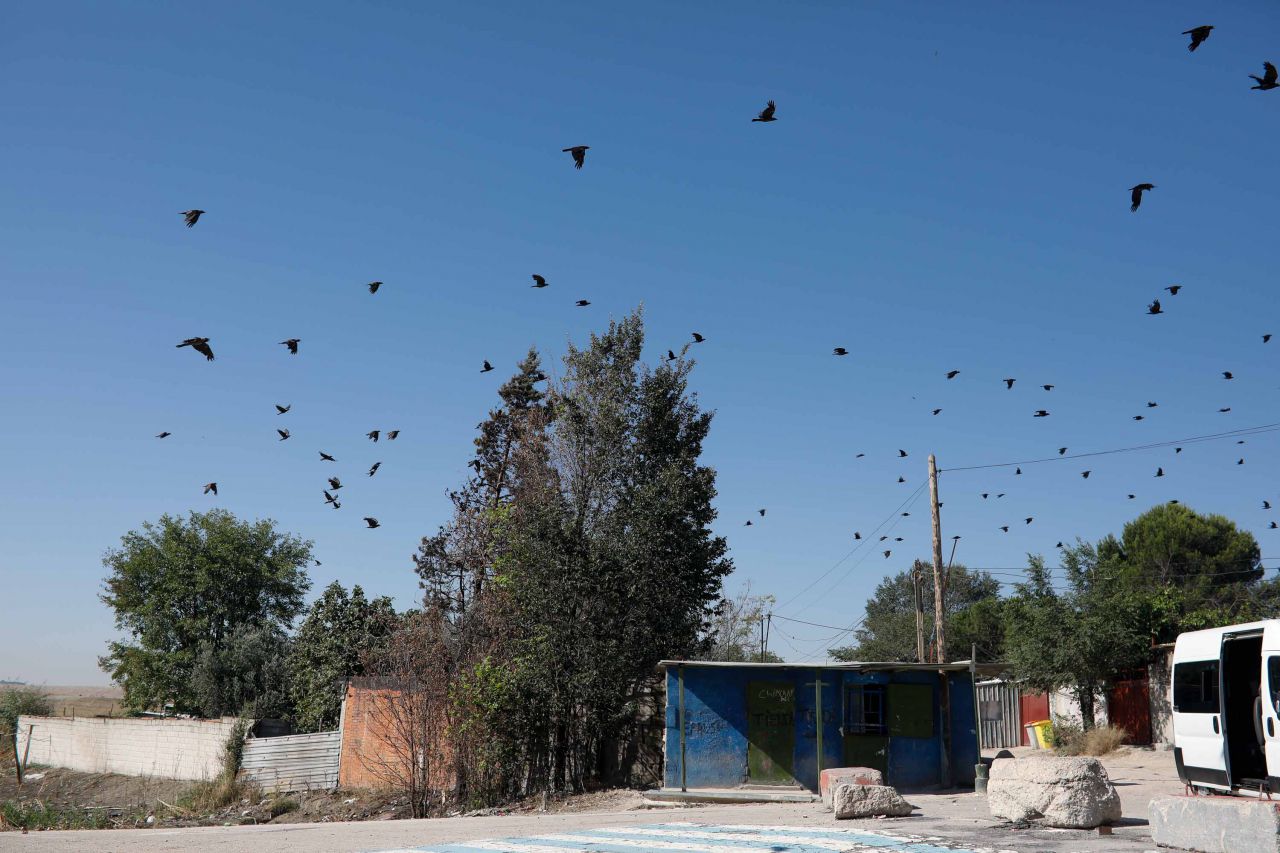 Una bandada de pájaro provinientes de los vertederos cercanos sobrevuela el sector 6.