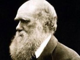 Un referente obligado de la investigación sobre la evolución