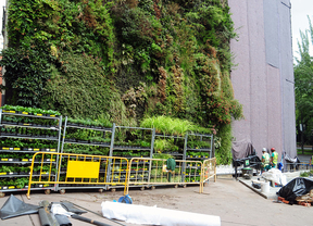 Cambian el fieltro de parte del jardín vertical del CaixaForum
