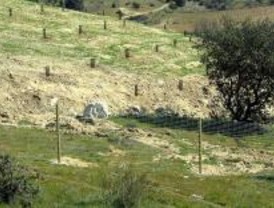 ANAPRI organiza sendas ecológicas por Colmenar Viejo para conoces sus aves