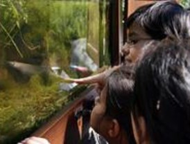 De visita en la morada de los insectos