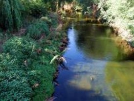 Ecologistas denuncia que la huerta se riega con agua residual
