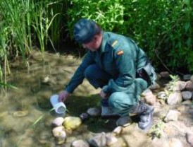 Detenidas 99 personas por robar agua al Canal de Isabel II