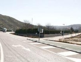 Denuncian el atropello de cientos de sapos en la M-301