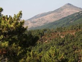 La Comunidad instalará cámaras en el monte para detectar incendios forestales