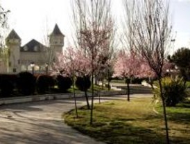 Cursos y actividades culturales gratis para parados de Alcorcón