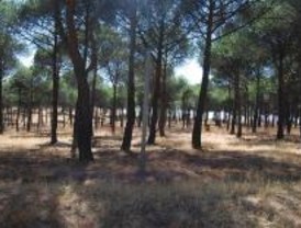 Bosques Naturales, sancionada con 9.500 euros por irregularidades en su publicidad