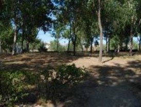 Un solar abandonado de Villaverde, nueva zona de 'ecuavoley'