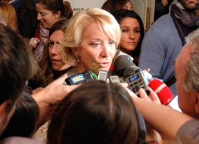 Aguirre dice que los asistentes a la marcha de la AVT querían "evitar la humillación de las víctimas"