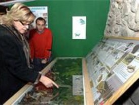 Un centro de cría en cautividad recuperará las especies de anfibios amenazadas