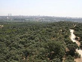 'En-bici-ate' de la Dehesa de la Villa a la Casa de Campo